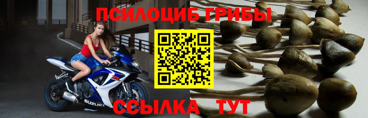 Саянск  Псилоцибиновые грибы ЛСД  Вход с VPN 