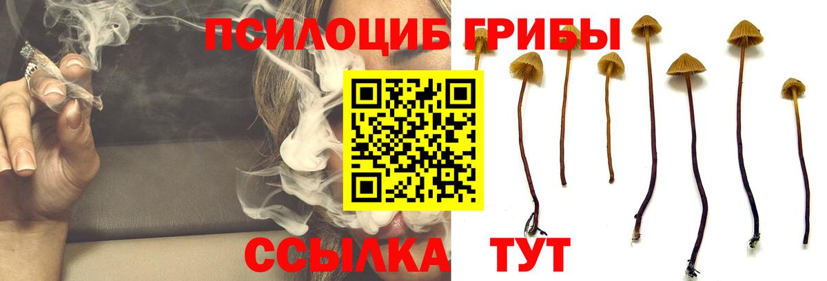 Галлюциногенные грибы GOLDEN TEACHER Саянск